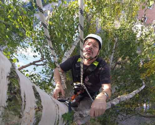 Katzenretter Stefan Bröckling im Baum